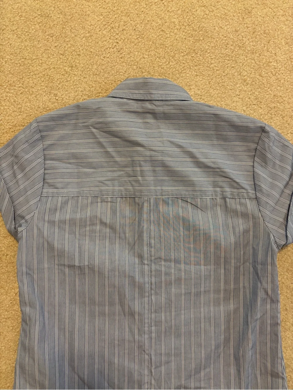 J. Crew Blue and White Striped Cap-Sleeve Button Shirt